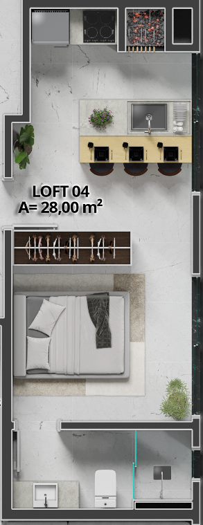 Planta Studio 804 · Tipologia 4